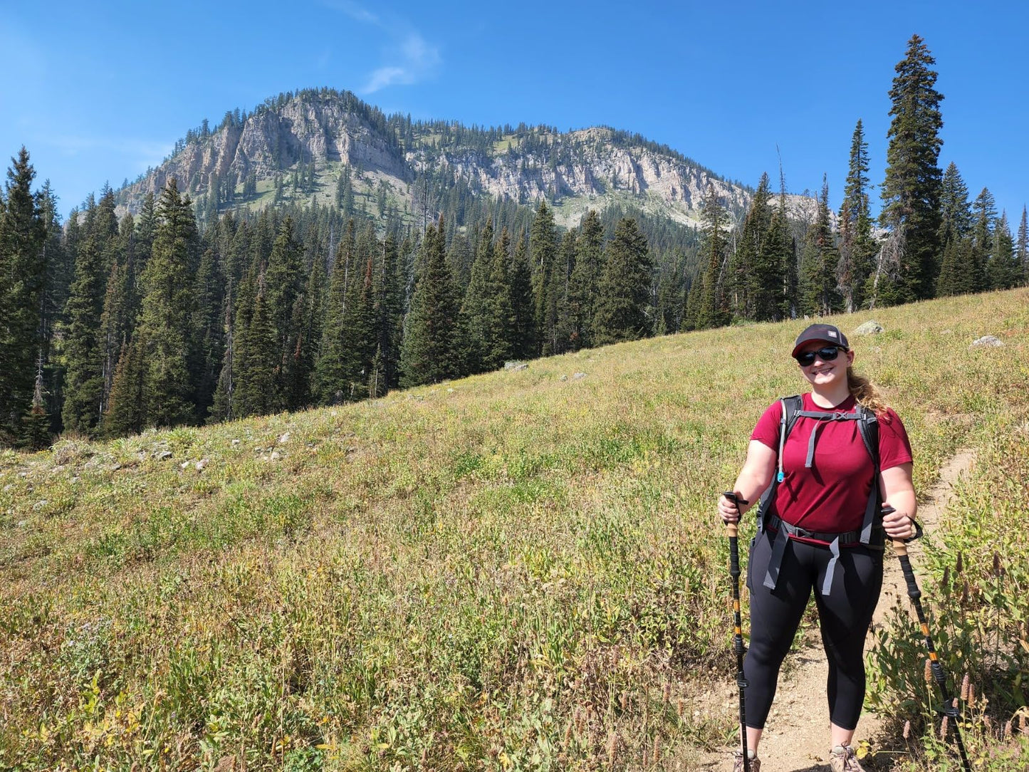 Premium Adjustable Hiking Trekking Poles – Lightweight Aluminum, Collapsible, with Anti-Shock Technology for Outdoor Adventures