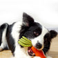 PnotKyes Dog Squeaky Chew Toy, Suitable for Aggressive Chewers, Rubber Carrot Dog Toy for Training and Cleaning, Interactive and Durable Toy for Small and Medium Dogs