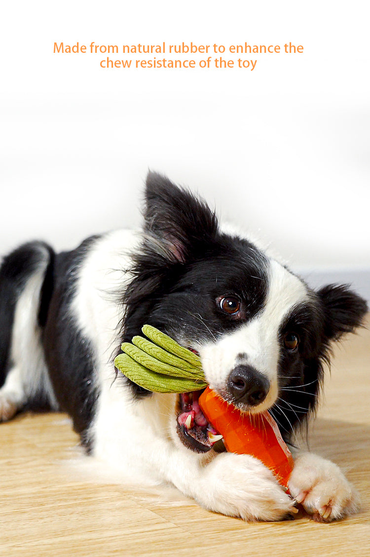 PnotKyes Dog Squeaky Chew Toy, Suitable for Aggressive Chewers, Rubber Carrot Dog Toy for Training and Cleaning, Interactive and Durable Toy for Small and Medium Dogs