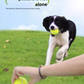 PnotKyes Automatic Dog Ball Launcher Automatic Ball Launcher for Dogs