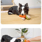 PnotKyes Dog Squeaky Chew Toy, Suitable for Aggressive Chewers, Rubber Carrot Dog Toy for Training and Cleaning, Interactive and Durable Toy for Small and Medium Dogs