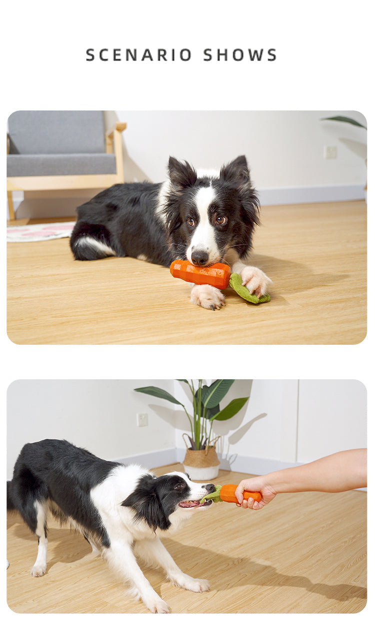 PnotKyes Dog Squeaky Chew Toy, Suitable for Aggressive Chewers, Rubber Carrot Dog Toy for Training and Cleaning, Interactive and Durable Toy for Small and Medium Dogs