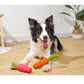 PnotKyes Dog Squeaky Chew Toy, Suitable for Aggressive Chewers, Rubber Carrot Dog Toy for Training and Cleaning, Interactive and Durable Toy for Small and Medium Dogs