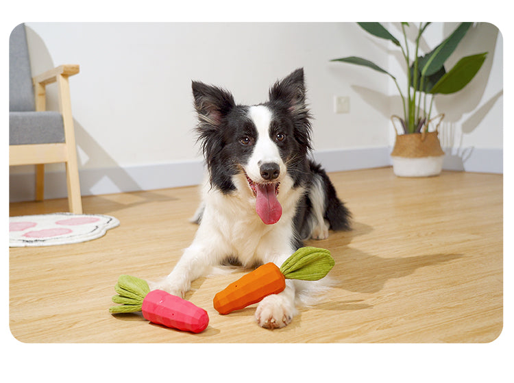 PnotKyes Dog Squeaky Chew Toy, Suitable for Aggressive Chewers, Rubber Carrot Dog Toy for Training and Cleaning, Interactive and Durable Toy for Small and Medium Dogs