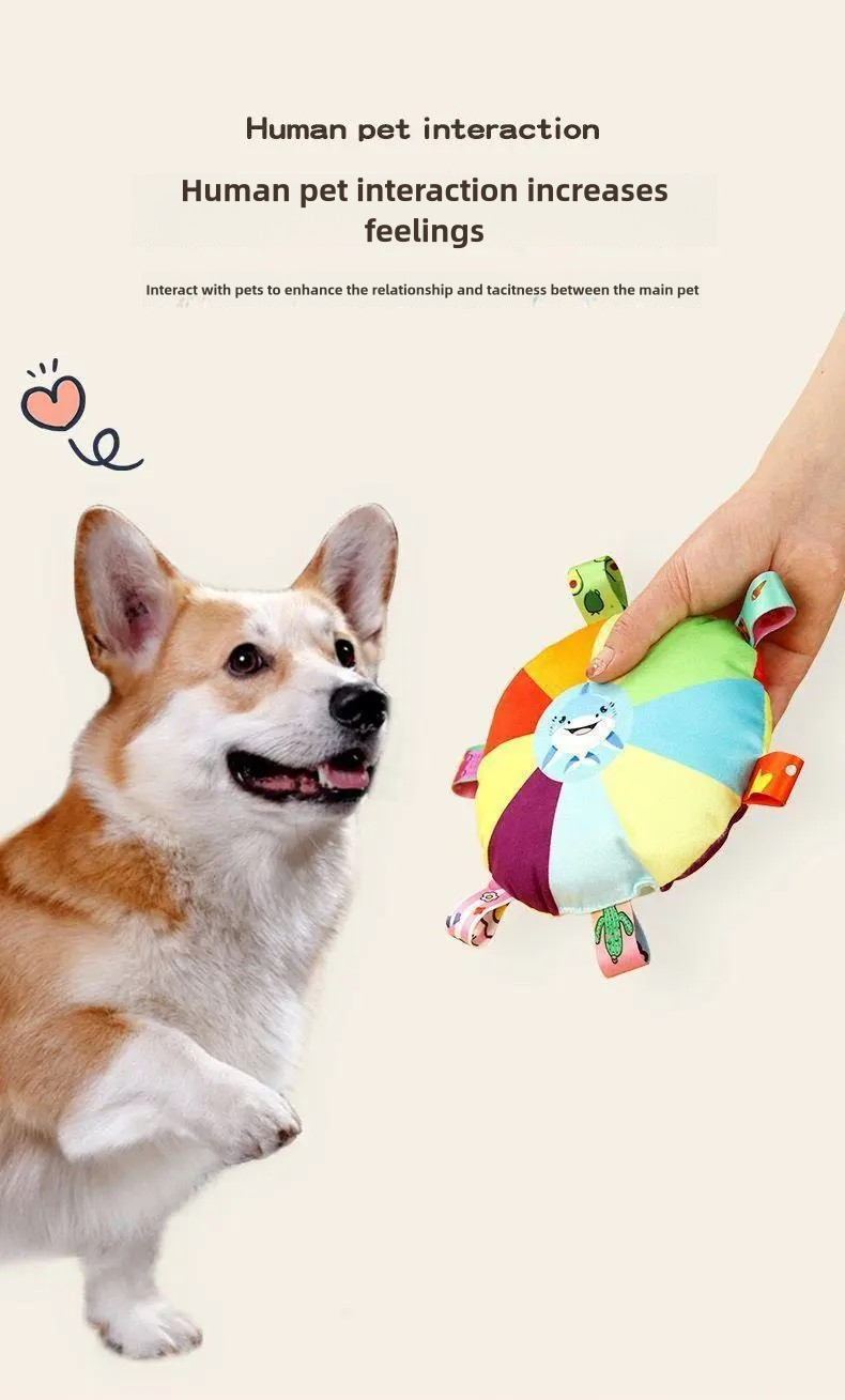 PnotKyes Cartoon Pattern Plush Frisbee Toy with Bell – Interactive Training and Dental Health Chew Toy for Dogs