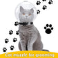 PnotKyes Cat Muzzle, Transparent Cat Muzzle, Breathable Cat Hood, Adjustable Cat Headgear, Pet Grooming Muzzle for Nail Trimming, Prevents Cats from Biting and Chewing